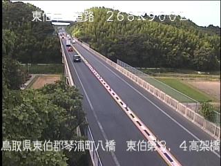8月10日14時 の様子