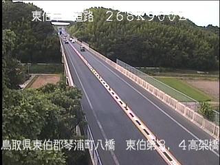 8月10日15時 の様子