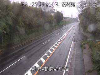 4月15日16時 の様子