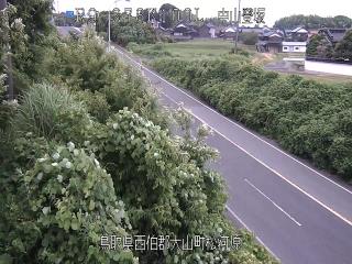 7月11日13時 の様子