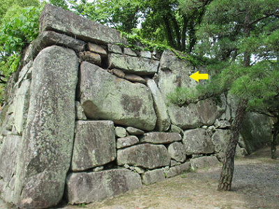 烏城（岡山城）公園の写真１