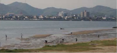 潮干狩り