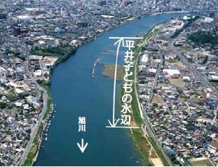 平井子どもの水辺の空撮