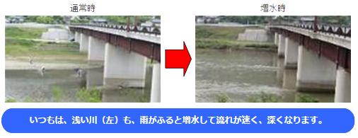 いつもは浅い川も雨が降ると増水して流れが速く、深くなります。