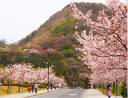 深山公園