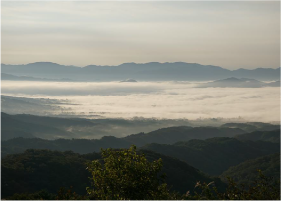 蒜山の雲海