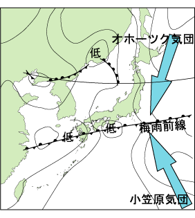 気団 小笠原