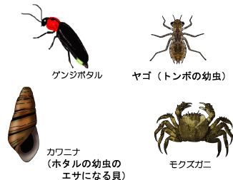 ̒ɂ鐶
