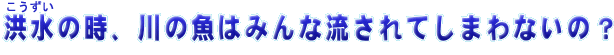 ̎A݂̋͂ȗĂ܂Ȃ́H