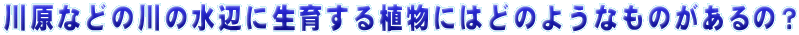 쌴Ȃǂׂ݂̐̂ɐ炷Aɂ͂ǂ̂悤Ȃ̂́H
