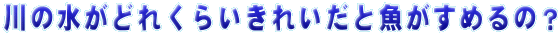 ̐ǂꂭ炢ꂢƋ߂́H