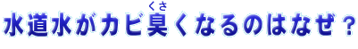 JrȂ̂͂ȂH