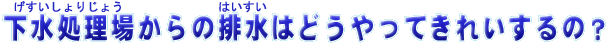 肶傤̂͂͂ǂĂꂢɂ́H