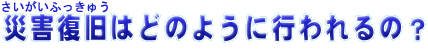 ӂイ͂ǂ̂悤ɍśH
