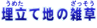 ߂Ēn̂