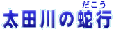 ĉ