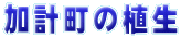 傤̐A