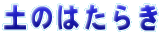 ŷ͂炫