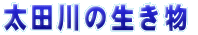 c̐
