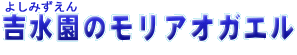 悵݂̃AIKG