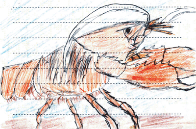 アメリカザリガニ