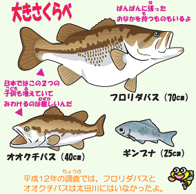大きさくらべ
