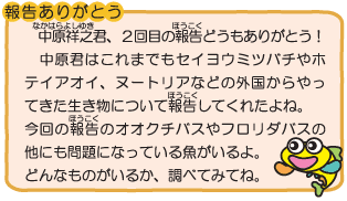報告ありがとう