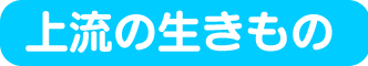 㗬̂