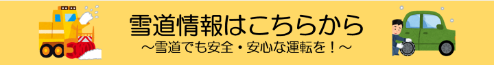 雪情報