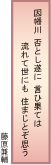 因幡・国府のうつろう流れ　殿ダム・袋川流域風土記