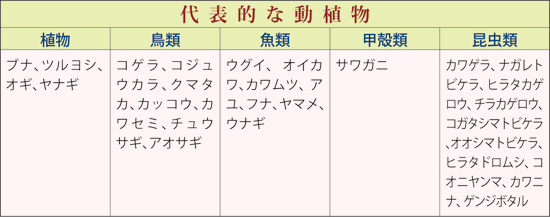 表
