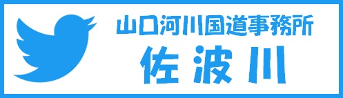 R͐썑gTwitter